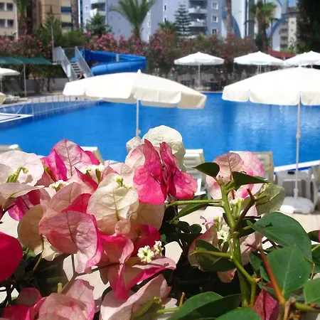 Simply Fine Alize (adults Only) 2* 알란야