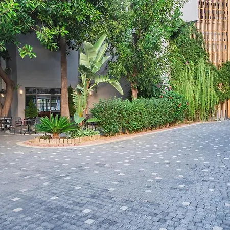 Simply Fine Alize (adults Only)