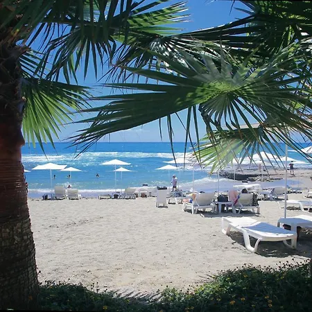 Simply Fine Alize (adults Only) Szálloda Alanya
