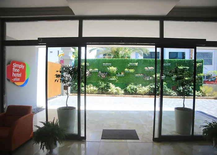 Simply Fine Alize (adults Only)