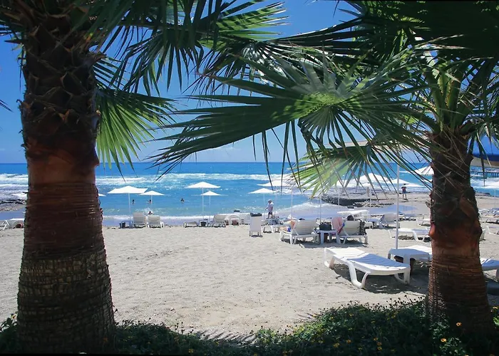 Simply Fine Alize (adults Only) Hotel Alanya